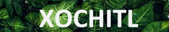 xochitl
